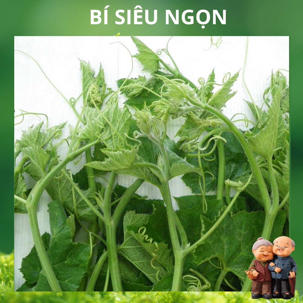 20GR - HẠT GIỐNG BÍ SIÊU NGỌN