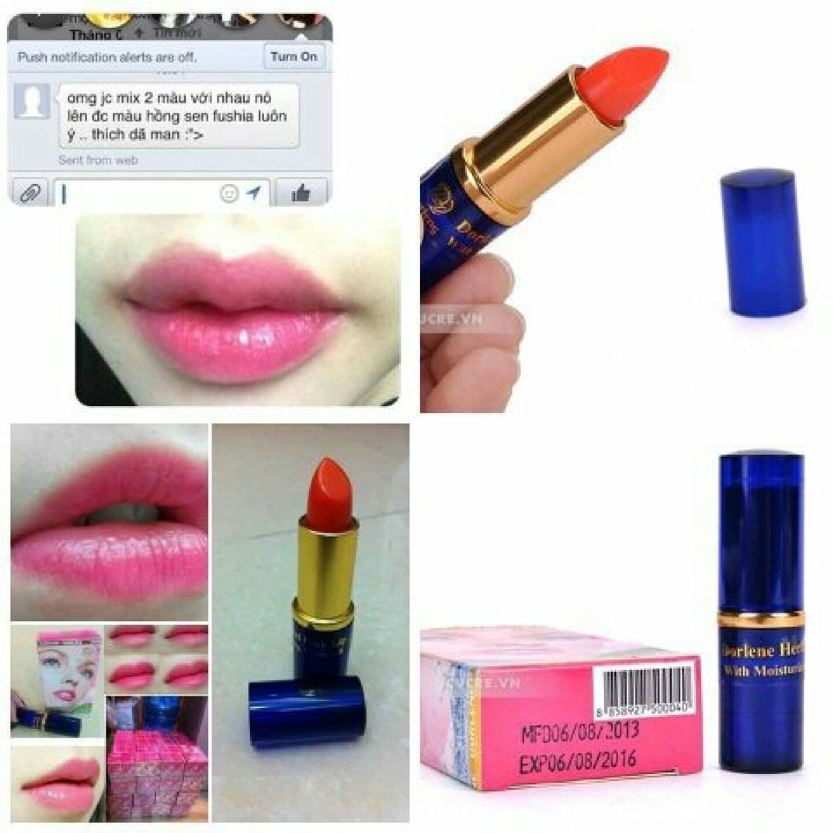 [HCM]Son Dưỡng Môi Dorlene Herbal Lip - KM