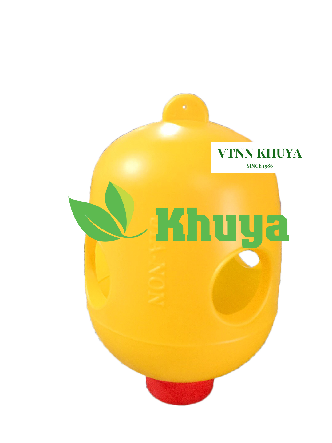 Bẫy ruồi vàng