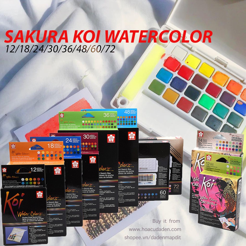 [HCM]Màu Nước SAKURA Koi Kèm Cọ Nước Nhật Bản