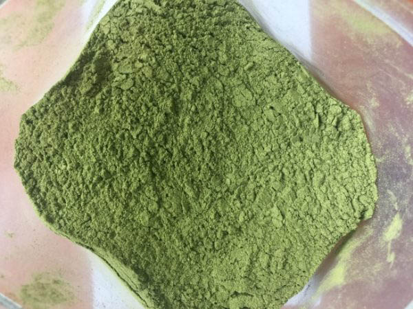 bột diếp cá sấy lạnh(100g)