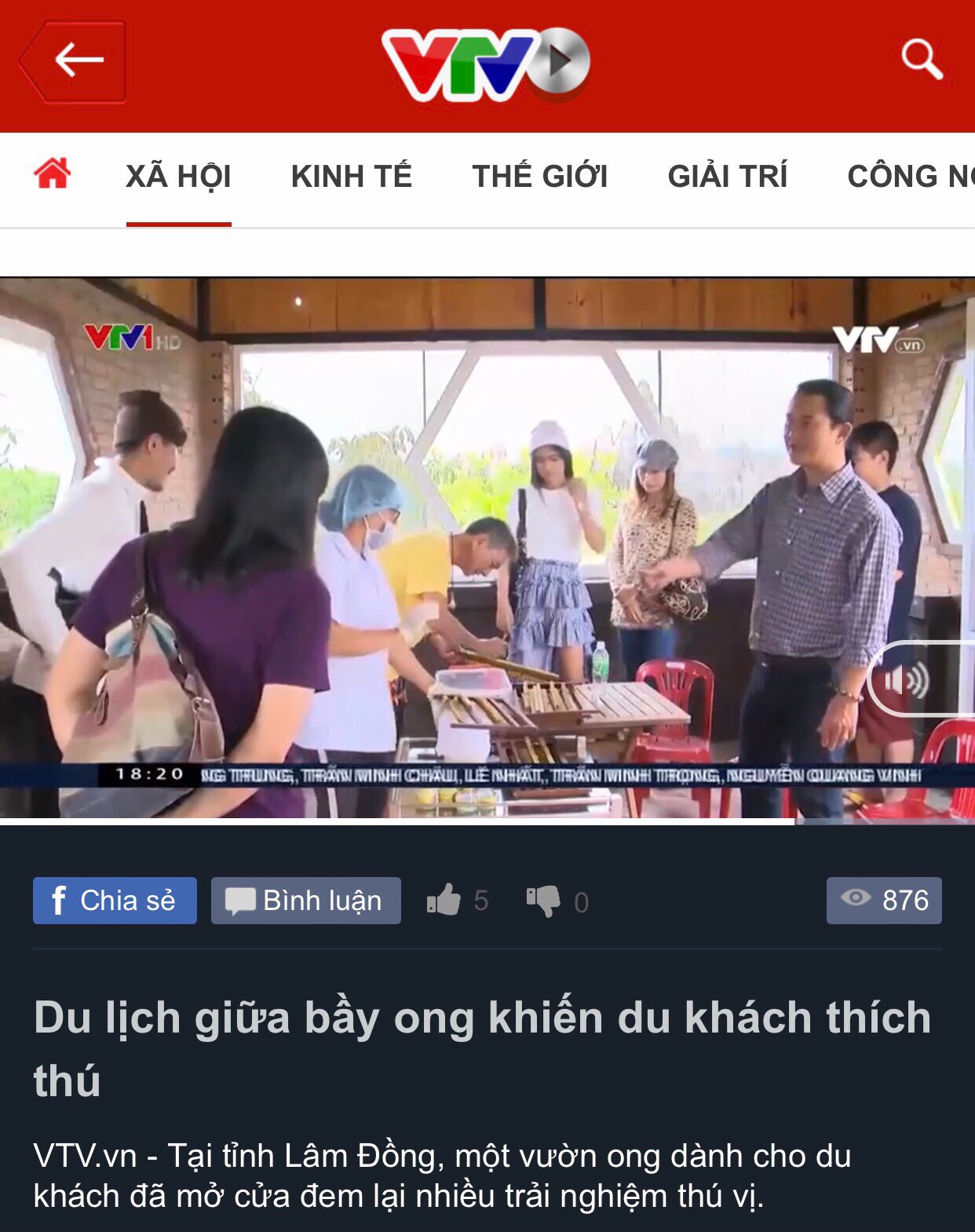 Phấn hoa Canaan 250gr