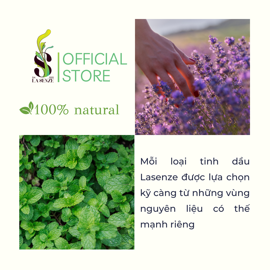 Tinh dầu Bạc Hà (Peppermint) - 100% Natural