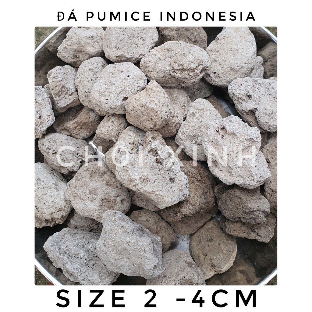 1kg Đá pumice size 2-4 cm