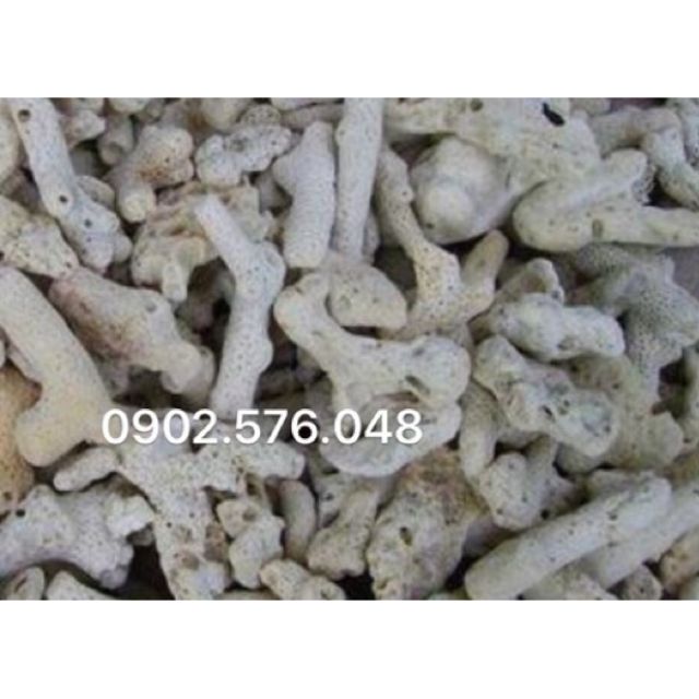 [HCM]San hô vụn 1kg