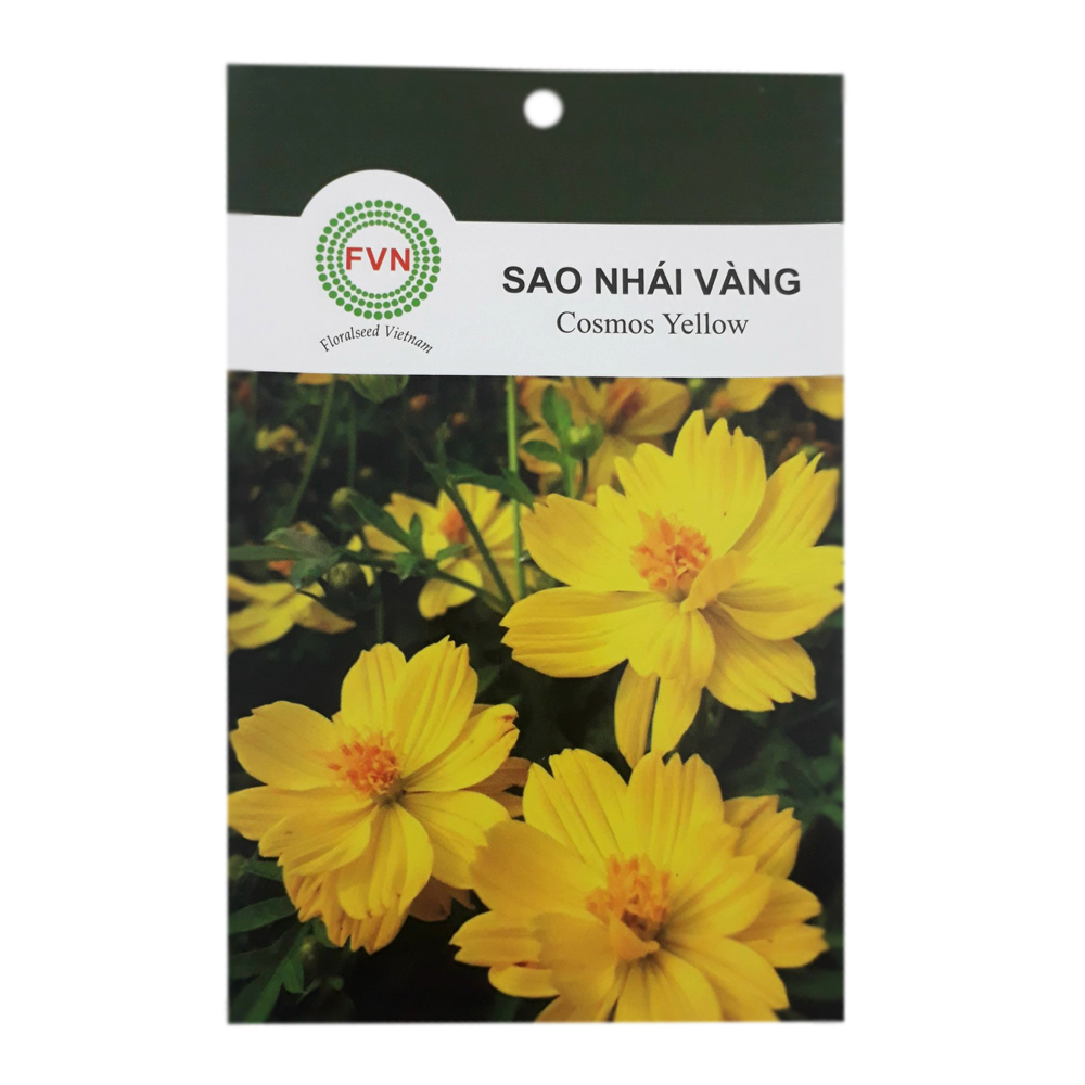 Hạt Giống Hoa Sao Nhái Vàng Fvn - Gói 15 Hạt | Lazada.Vn