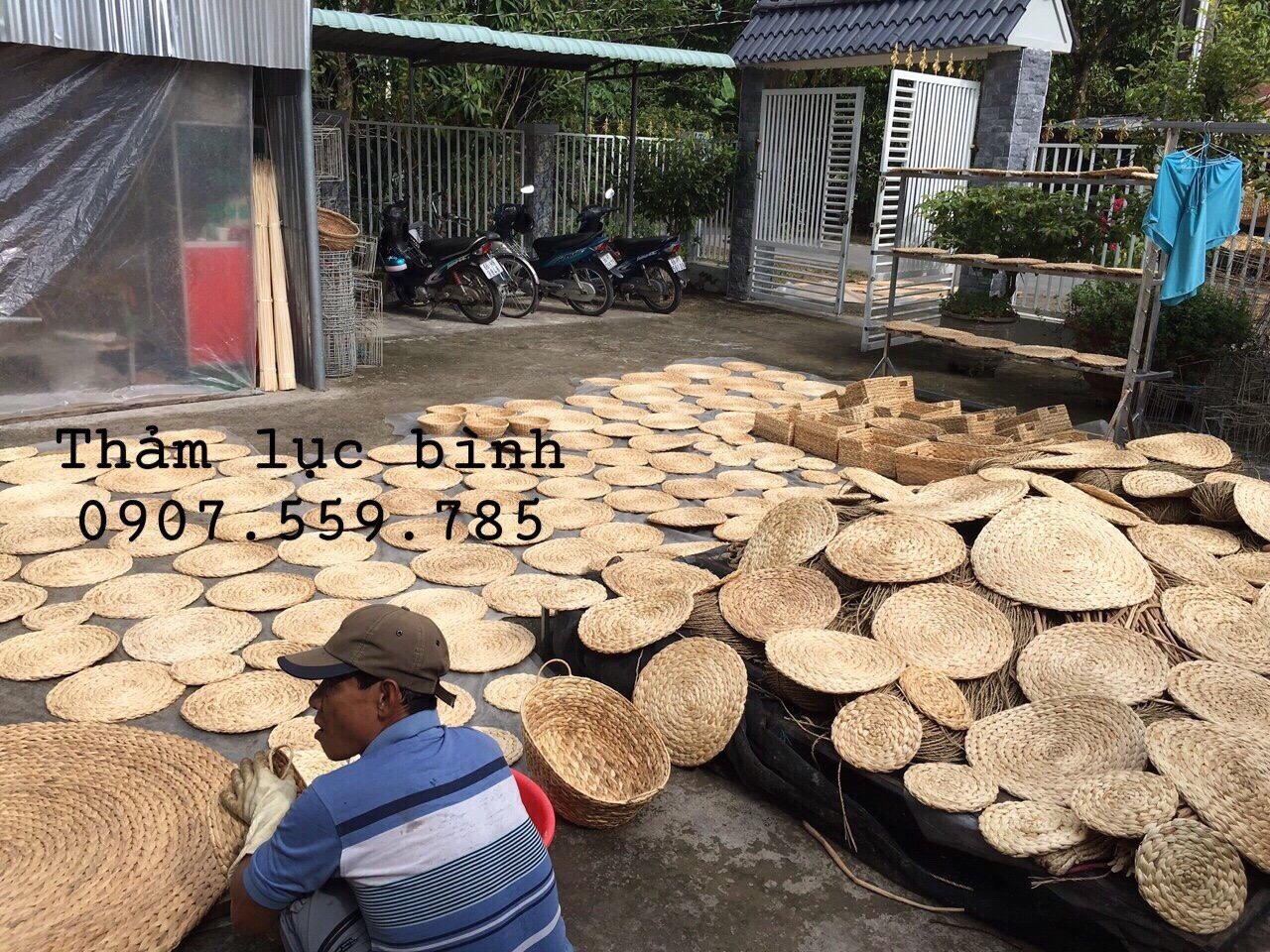 Thảm Lục Bình Chụp Ảnh Lót Sàn Vintage