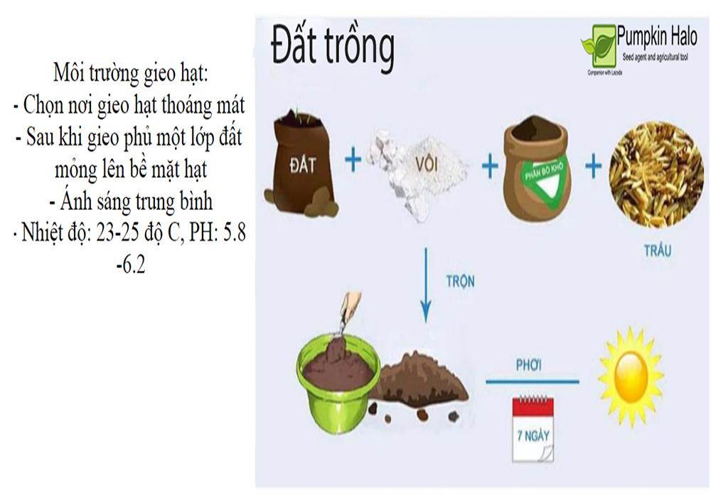 Giống Rau Thơm Sả ( É Trắng)_gói 2gram