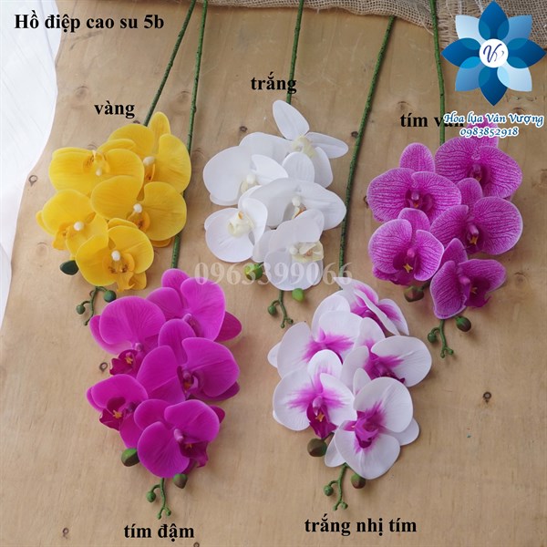 Hoa Lụa 🌺FREESHIP🌺 Lan Hồ Điệp Cao Su 5 Bông