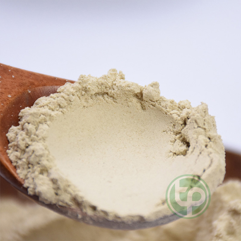 Bột tam thất bắc nguyên chất 100g - Thảo Dược Tấn Phát - Hàng công ty chính hãng có giấy kiểm định chất lượng
