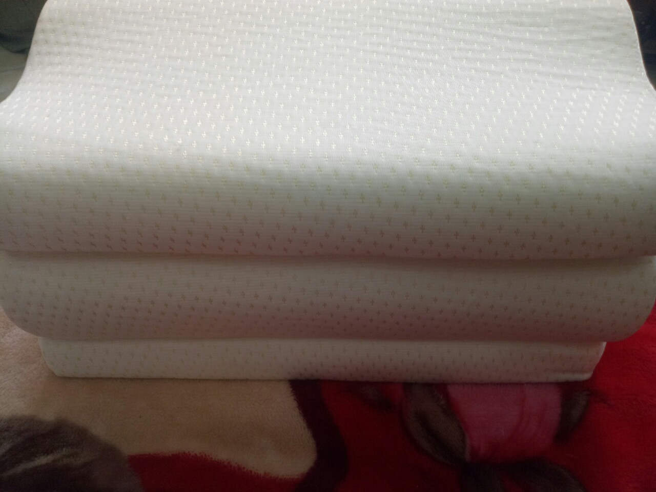 GỐI CAO SU NON NGƯỜI LỚN COMBO 2 gối