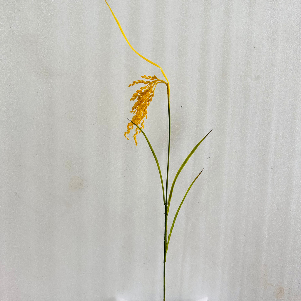 LÚA GIẢ. CÂY LÚA GIẢ 2 MÀU XANH ,VÀNG ( CAO 70CM)