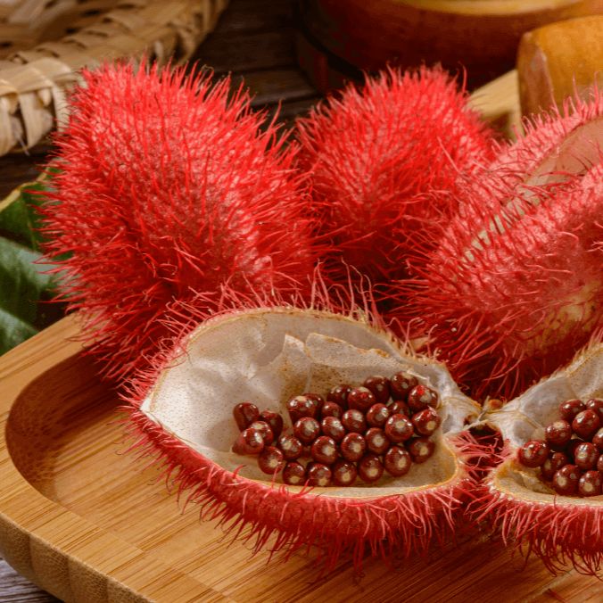 [HCM]Natural Hạt điều đỏ Dh Foods