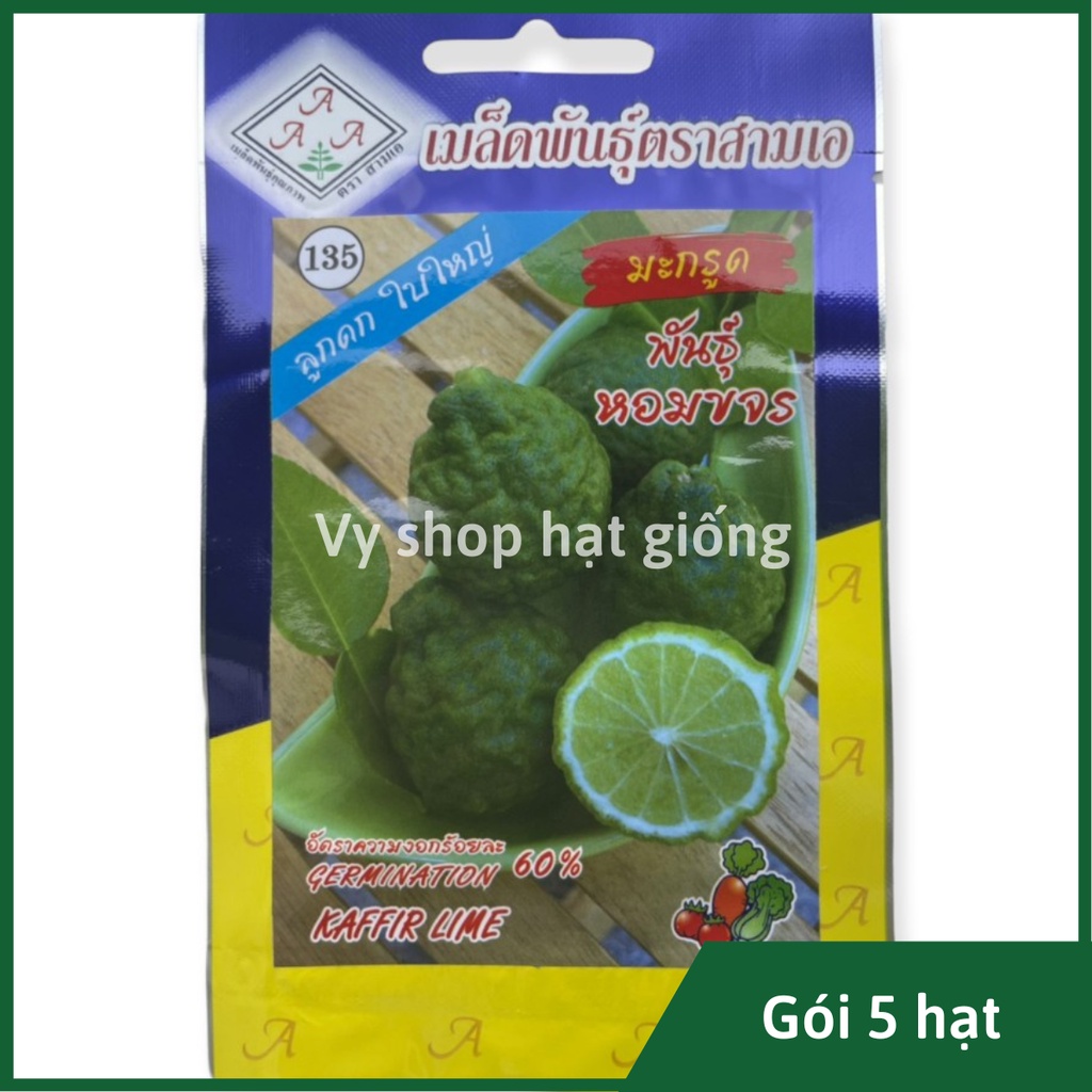 Hạt giống chúc Thái - chanh não gói 5 hạt