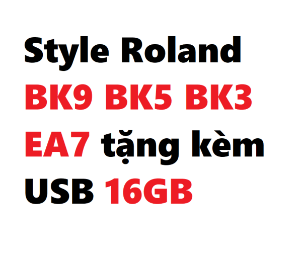 Bộ dữ liệu Style dành cho Roland BK9 BK5 BK3 EA7 - tặng kèm USB 16GB