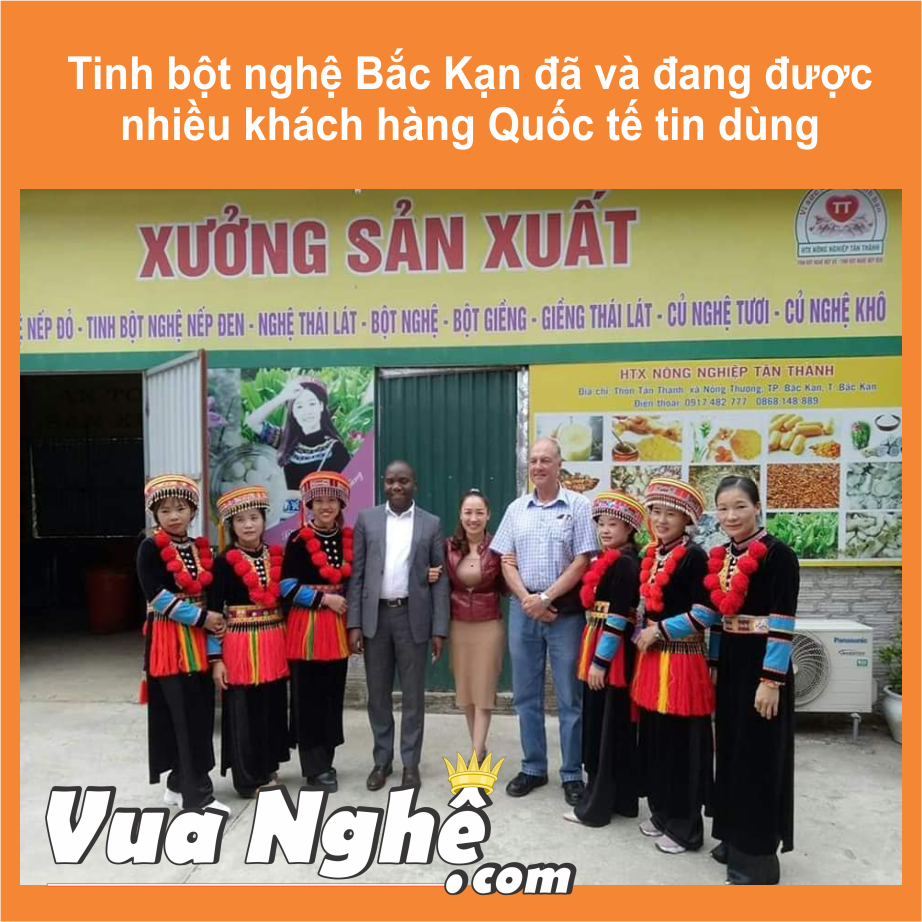 Tinh Bột Nghệ Đỏ Cucurmin - NDCC 500