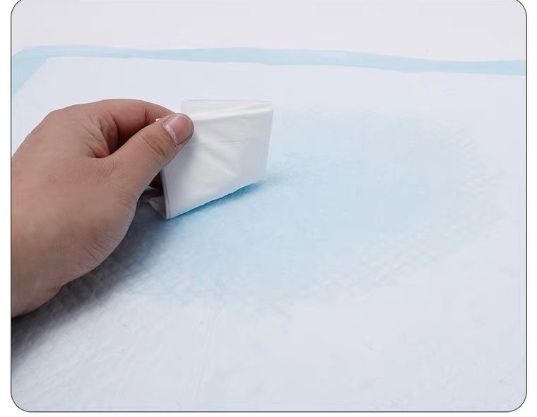 Giấy tã lót vệ sinh cho thú cưng cao cấp
