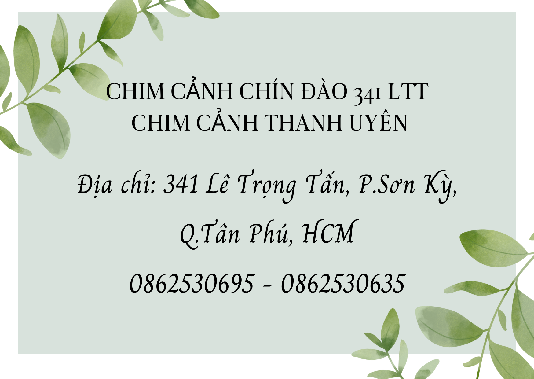 Ba lô đeo lồng chim - Phụ kiện chim cảnh cao cấp