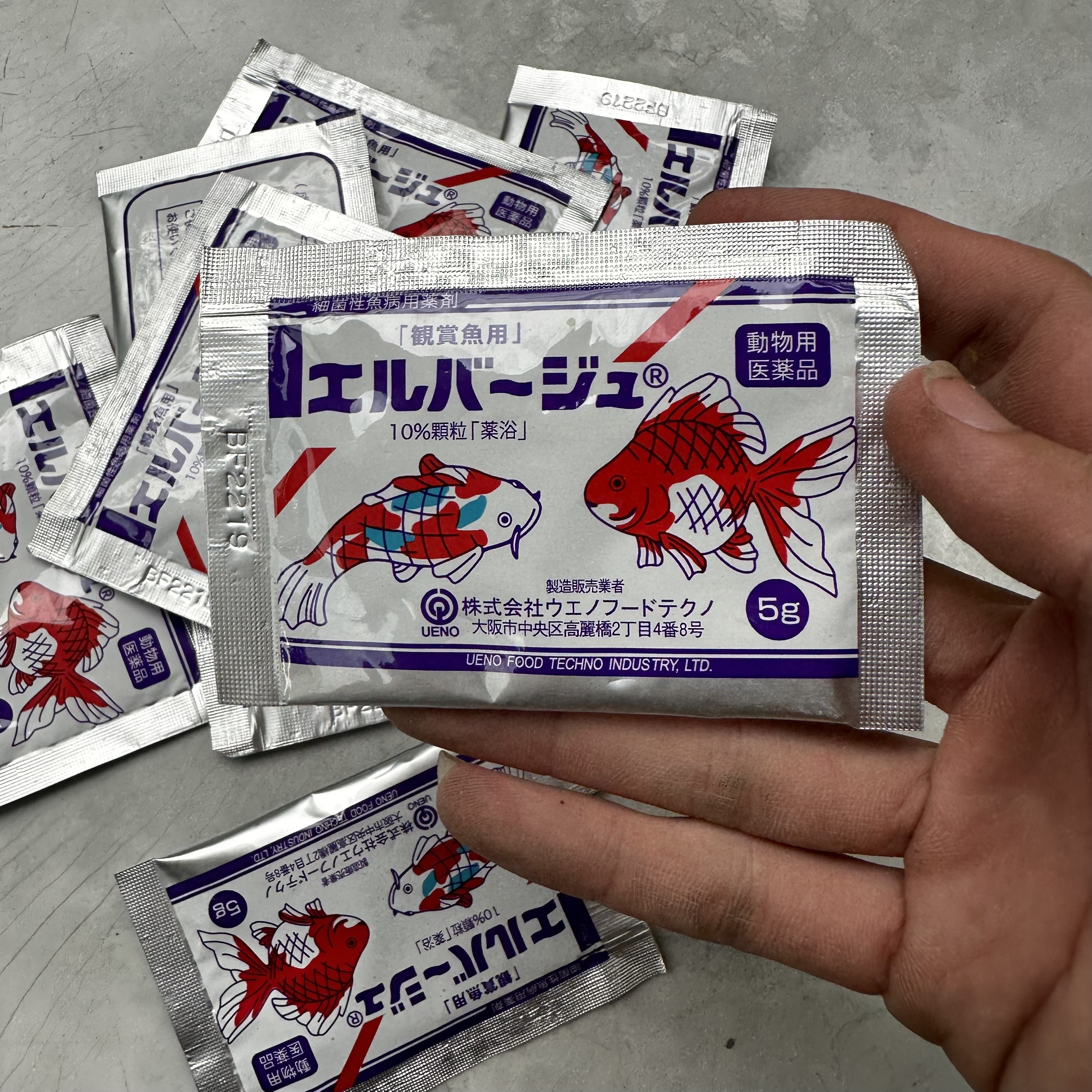 Tetra Nhật trị nấm ở cá cảnh
