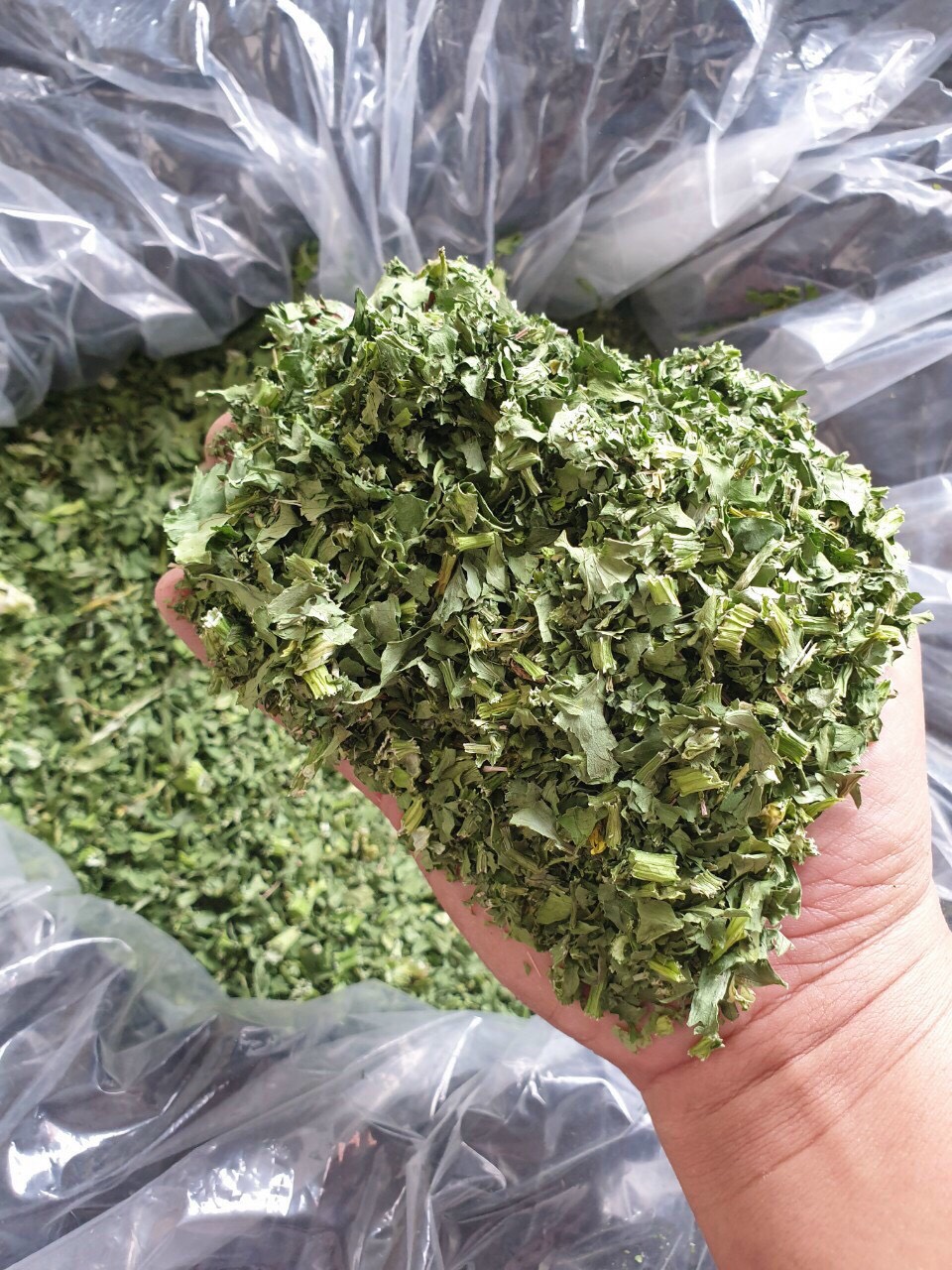 (TẶNG BÌNH DETOX )Bột cần tây sấy lạnh 100% nguyên chất (100Gr)