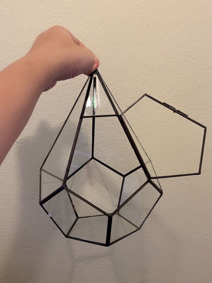 Bình thủy tinh tiểu cảnh terrarium có nắp 02