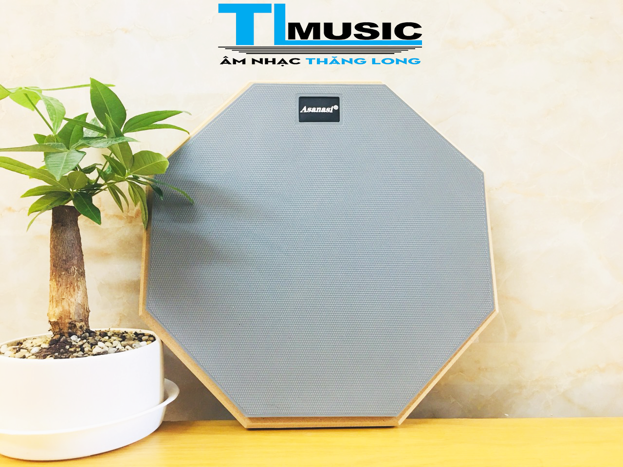 Mặt PAD Tập Trống 12inch ( Miếng Đệm Tập Trống) Asanasi PAD12 (PAD 12)