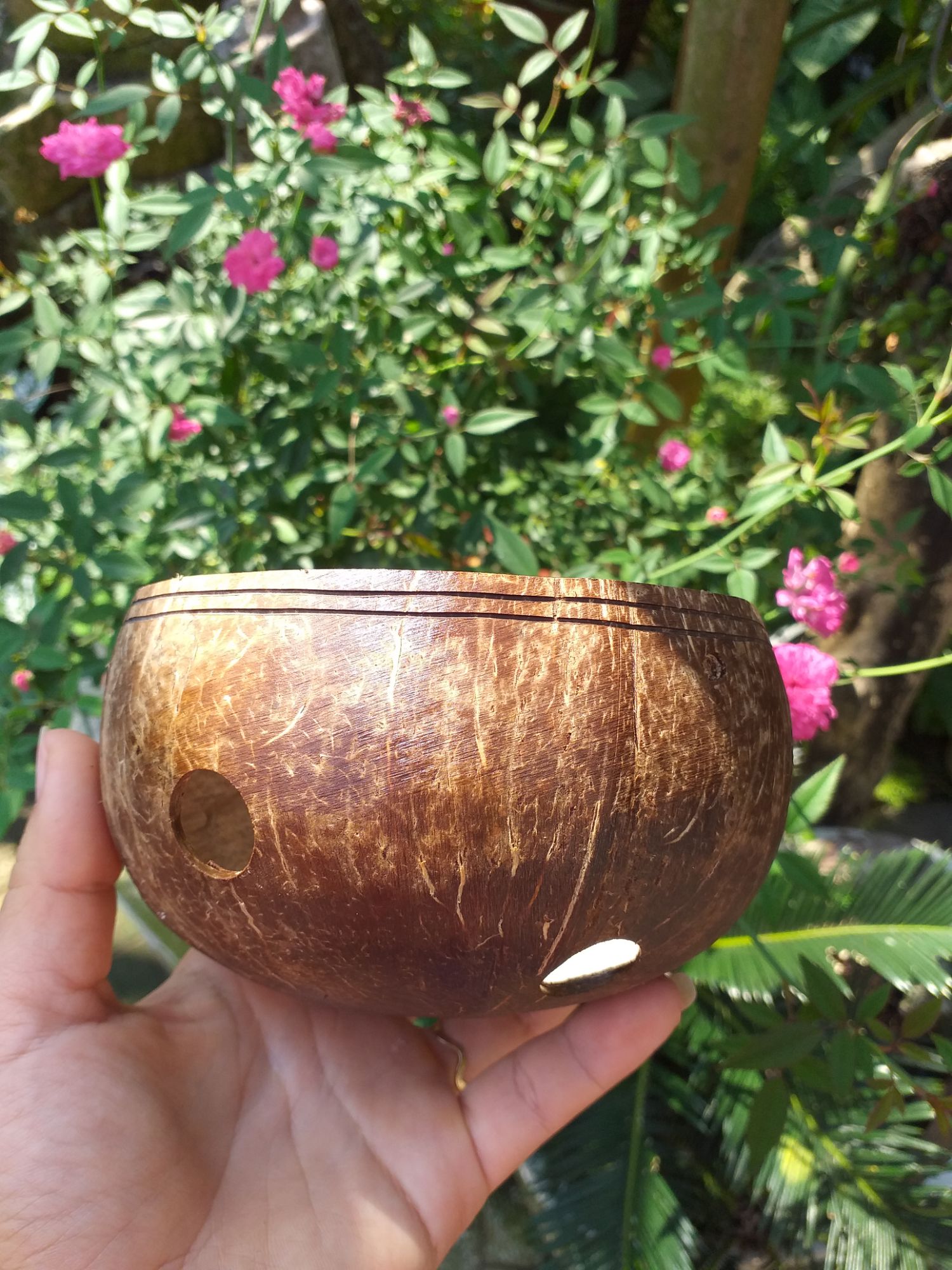 Chậu gáo dừa trồng lan, hoa phủ sơn bóng