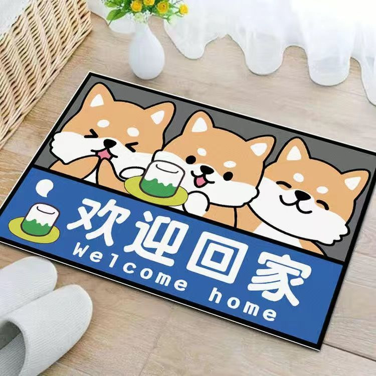 Thảm Lau Chân 3D 40x60cm, Thảm Chùi Chân Trải Sàn Nhà Thấm Hút Nước Chống Trơn Trượt