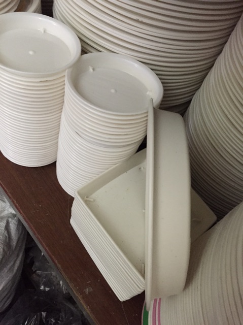 Thông tin biến thể:CHK_SKU_PROPS_DUPLICATE:Duplicate attribute Color Family:35520.