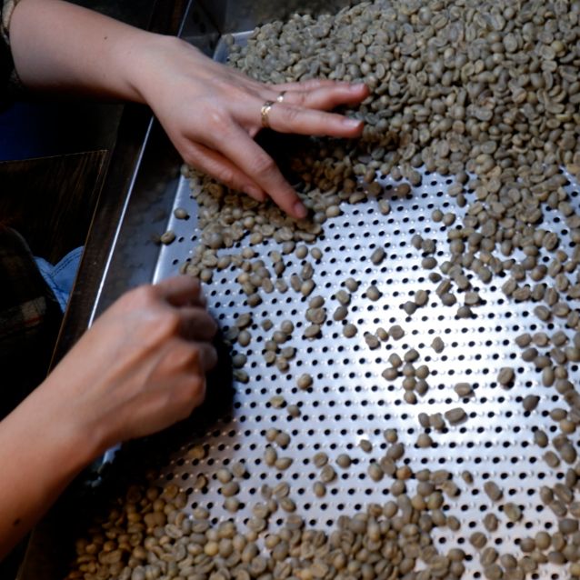 cà phê sạch nguyên chất Typica 500g