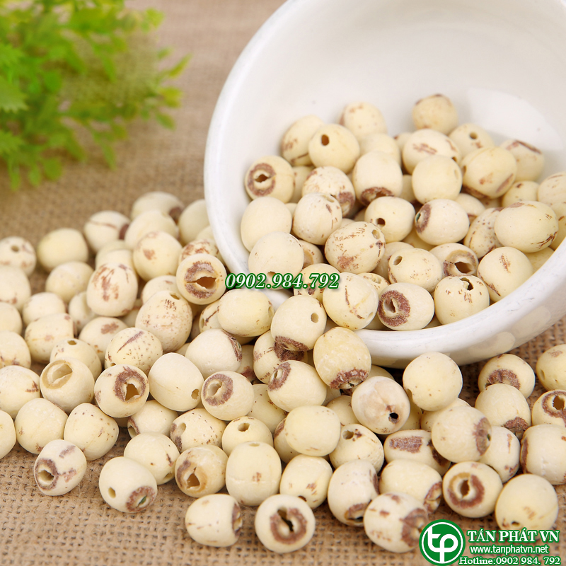 [Hạt hữu cơ] Hạt sen khô 500gram , Hạt sen khô loại ngon - tấn phát - Hàng sạch chuyên dùng để nấu chè