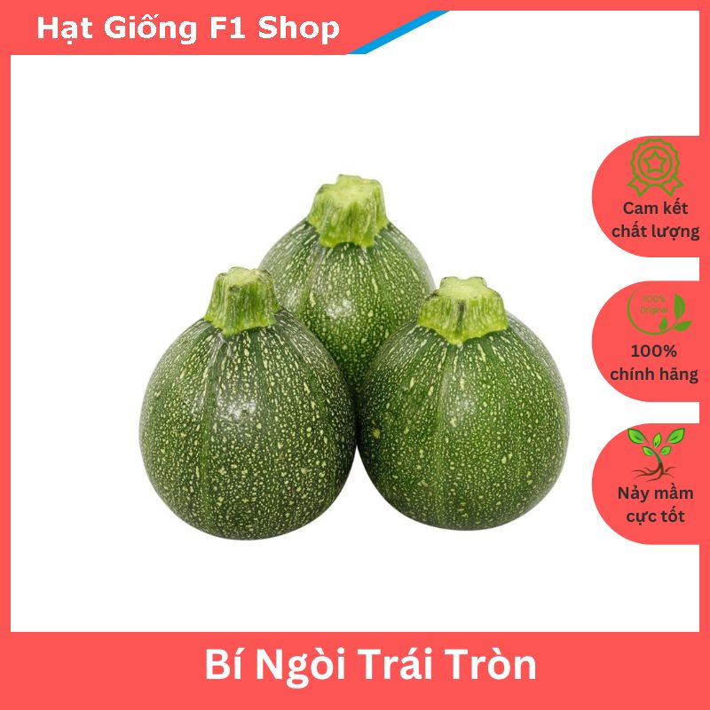 Hạt Giống Bí Ngòi Trái Tròn Sai Trái (1G) (106.F1)