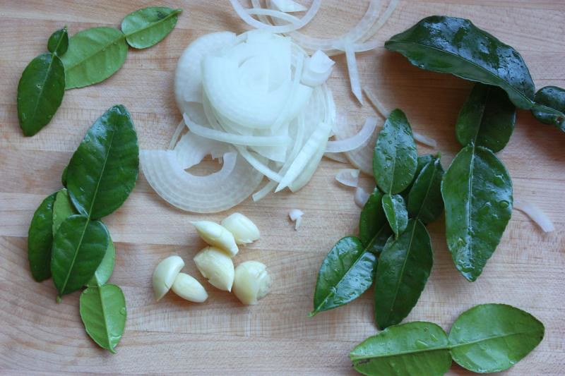 [SẴN] Cây chúc giống, chúc cao lớn, to khỏe, chanh Thái, HƠN 1 NĂM TUỔI chanh lá số 8