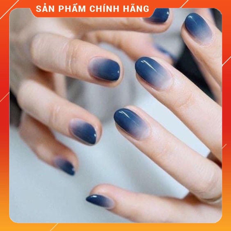 [HCM]CỌ DẶM OMBRE TRÒN THÂN GÕ SIÊU XỊN MỊN