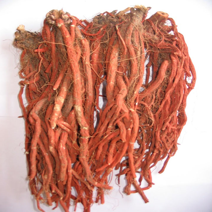 Đan sâm 1kg