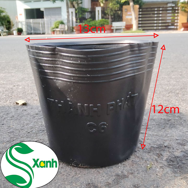 50 Chậu Nhựa Đen Trồng Cây C6