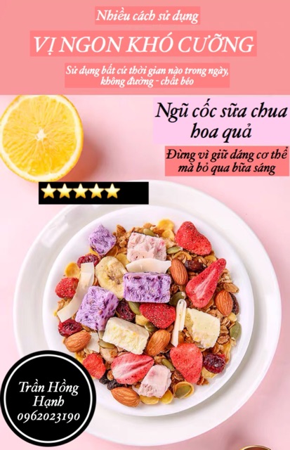 Ngũ cốc sữa chua hoa quả sấy khô (S.chua tím 400g)