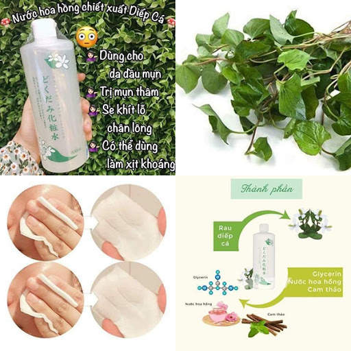 Nước Hoa Hồng Diếp Cá Dokudami Toner 500ml