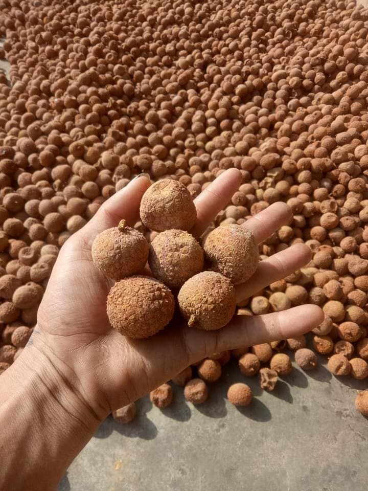 Vải Thiều Sấy Khô Bắc Giang 500 Gram