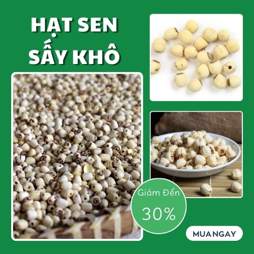 [Hạt hữu cơ] Hạt sen sấy khô túi 1kg - Thảo Dược Tấn Phát - Hàng công ty cao cấp - chuyên dùng nấu chè và làm các món ăn thơm ngon và bổ dưỡng