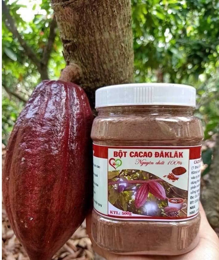 Bột ca cao nguyên chất 100% từ Đăk Lăk 500g