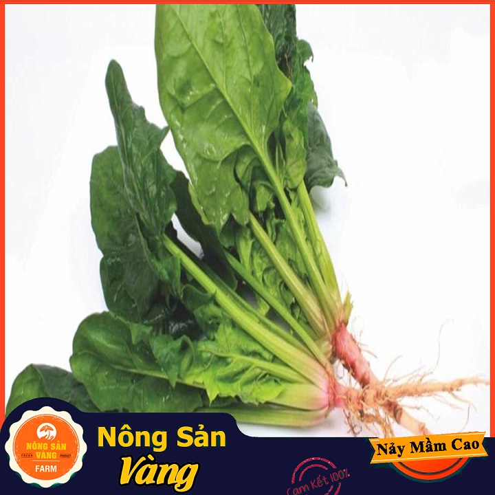 Babies' good nutrition multi-leaf vegetable duck root vegetables seeds (5 gram package)-yellow agricultural products