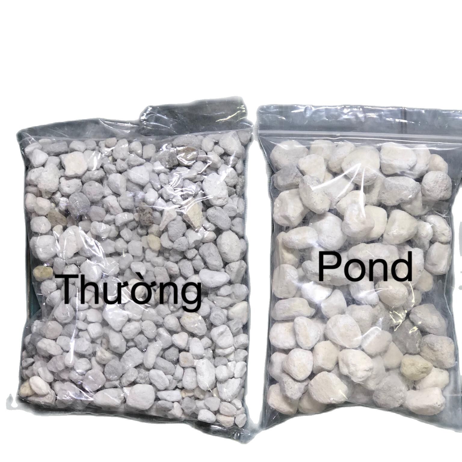 Seachem Matrix Pond 100ml - Vật Liệu Lọc Cao Cấp Cho Bể Cá Thủy Sinh