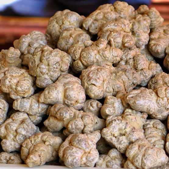 1KG CỦ TAM THẤT BẮC ( LOẠI 7 - 8 CỦ)
