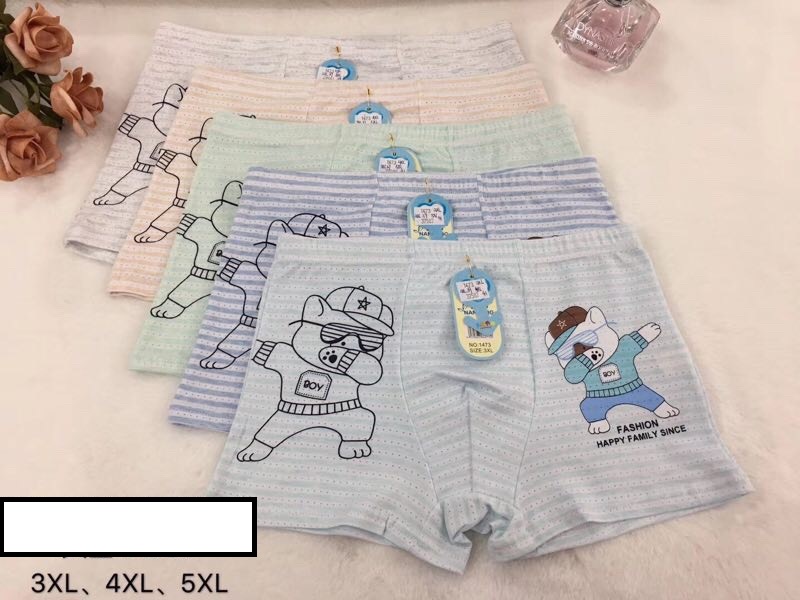 COMBO 5 QUẦN CHIP BÉ TRAI THÔNG HƠI (3 size từ 25kg -39kg)