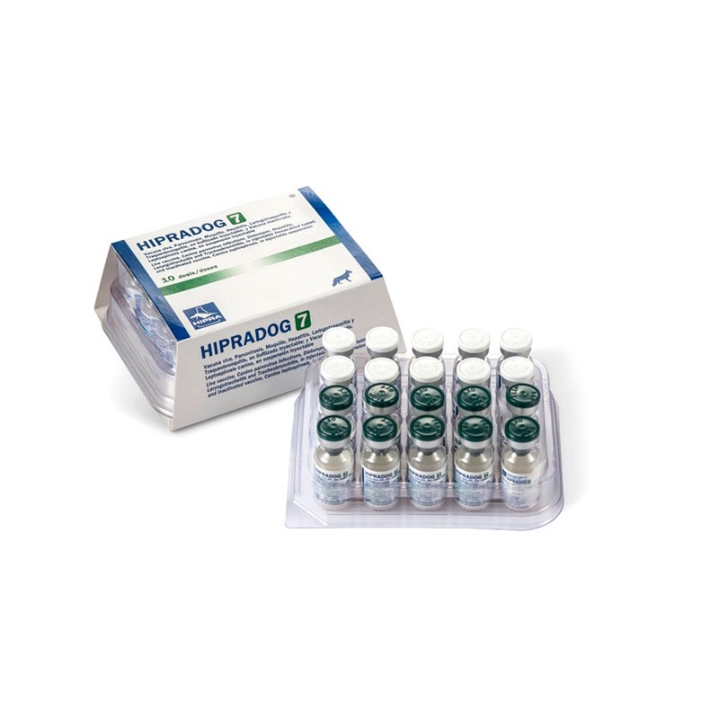 (Hoả tốc) Hướng dẫn tiêm vắc xin chó 7 bệnh (tặng bơm kim tiêm)