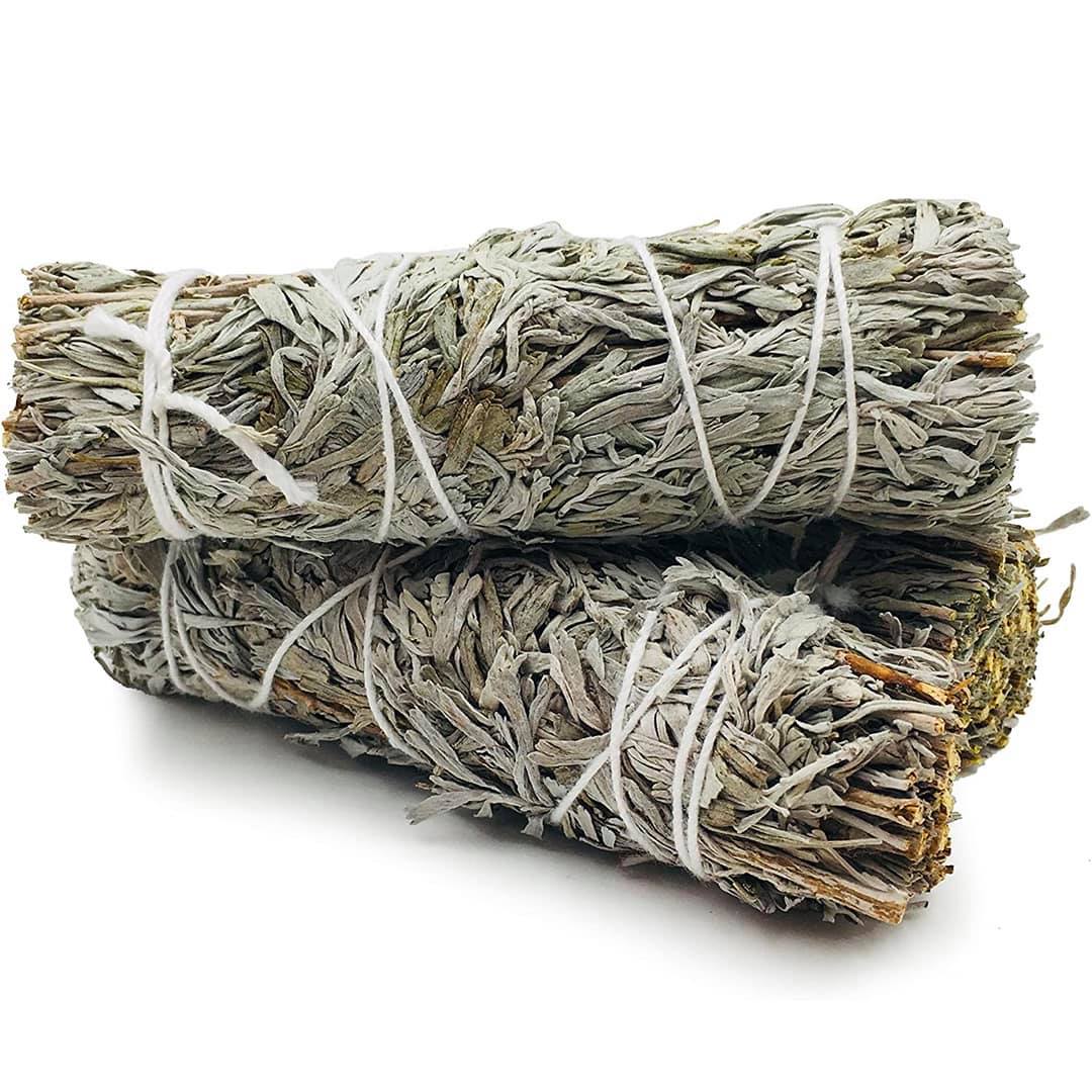 Xô thơm xanh - Blue sage - THẢO MỘC XÔNG NHÀ