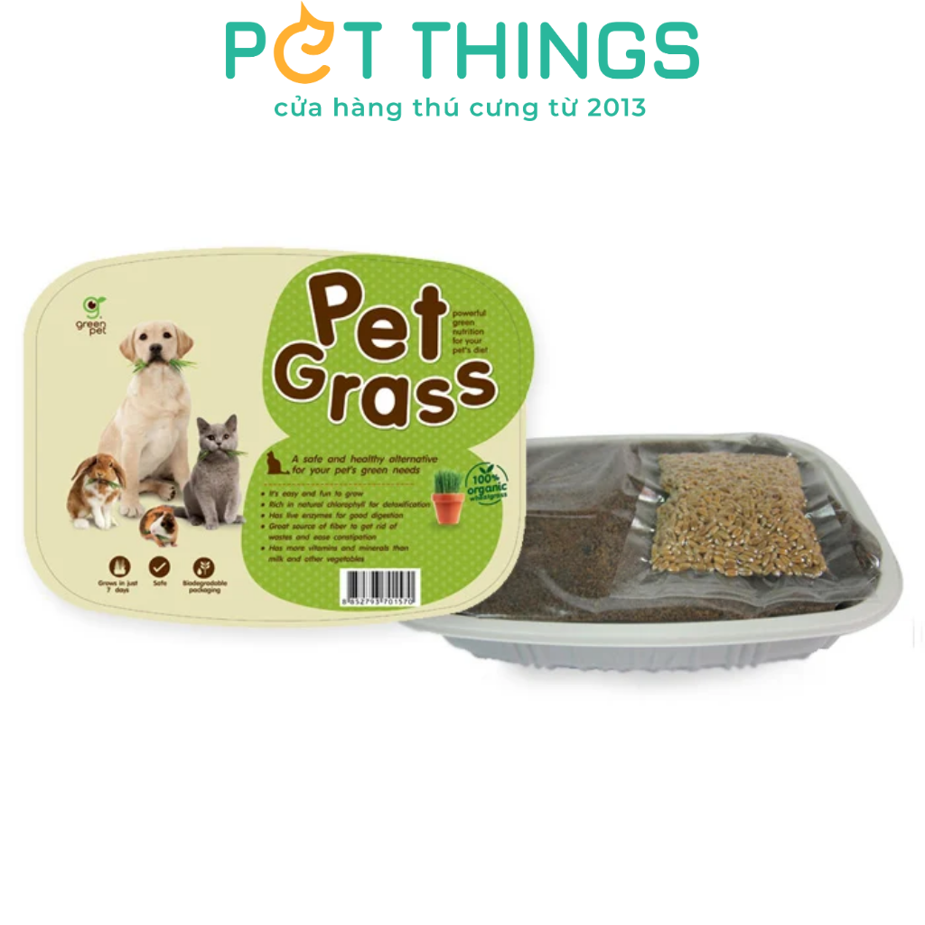 WHEATGRASS SEED FOR CAT