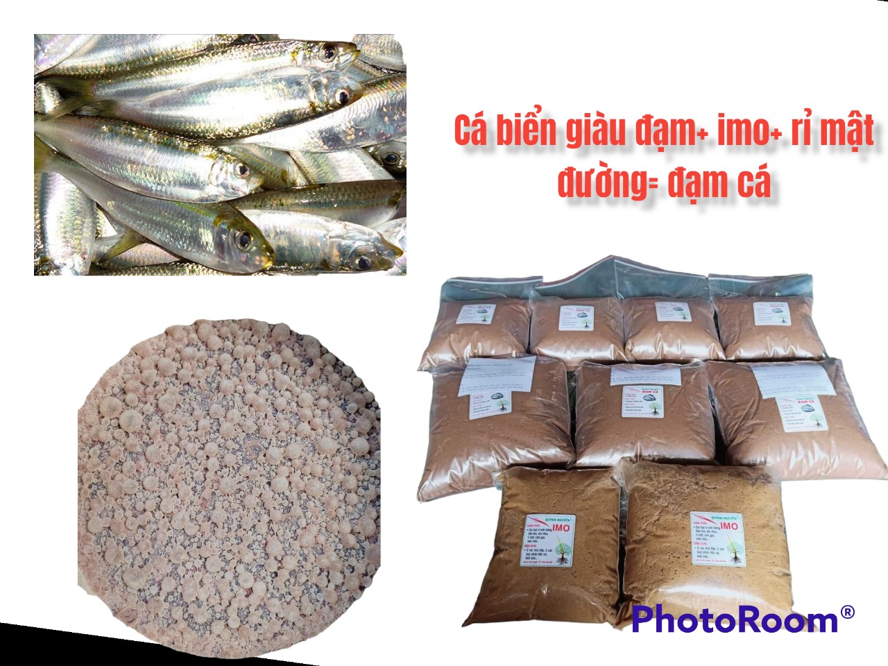 Phân bón đạm cá cô đặc 1kg (nguyên chất từ cá biển tươi giàu đạm)