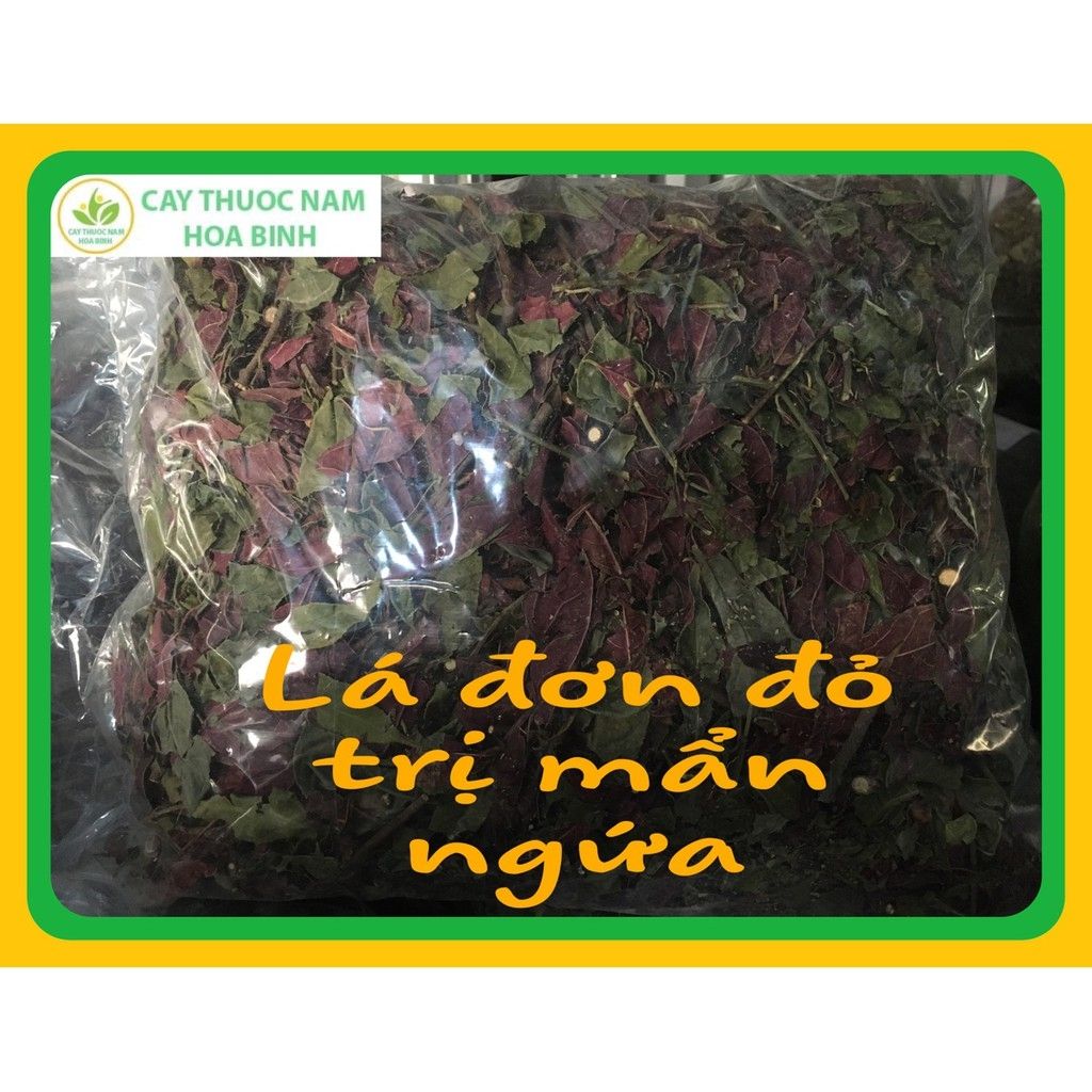 1kg Lá đơn đỏ (khô sạch)
